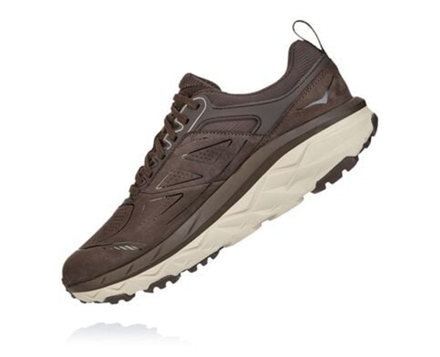 Hoka One One Trailove Tenisky Panske Hnede - Challenger Nizke GORE-TEX - 07418-VRNA